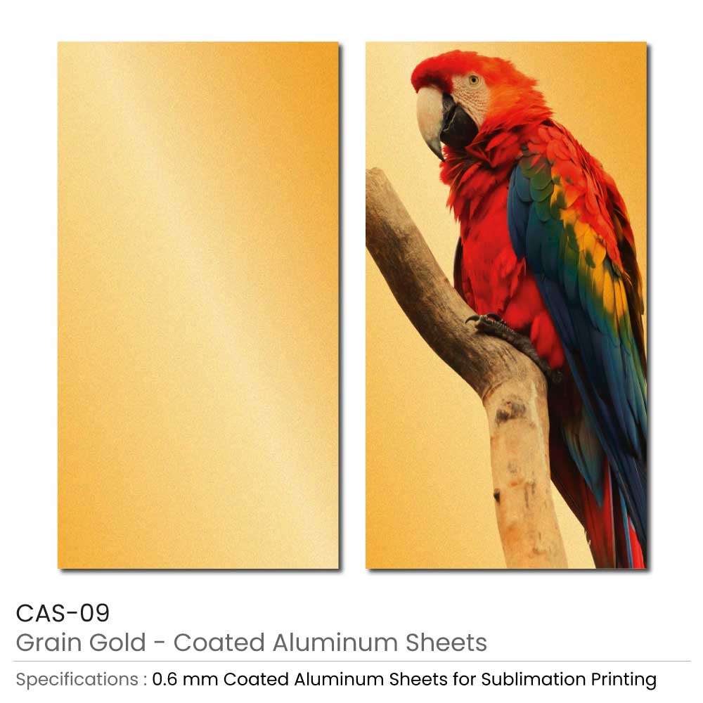 Coated-Aluminum-Sheet-CAS-09.jpg