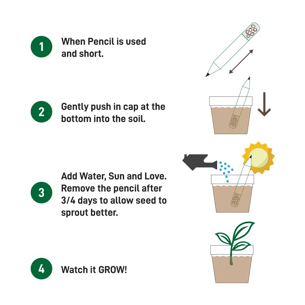 Plantable-A-Pencils-Set-SPS-03-03-1.jpg