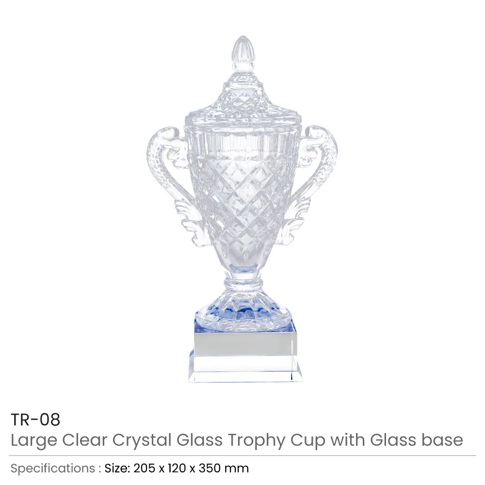 Crystal-Glass-Trophy-Cup-TR-08-Details.webp