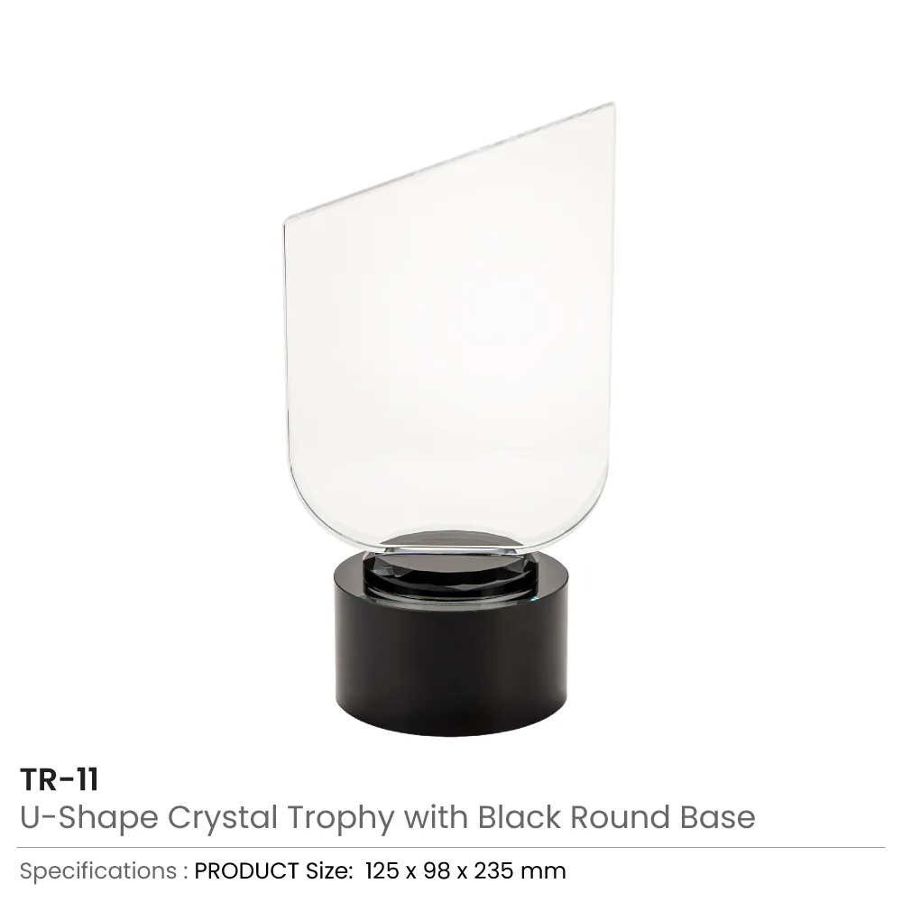 Crystal-Trophy-with-Round-Black-Base-TR-11-Details.webp