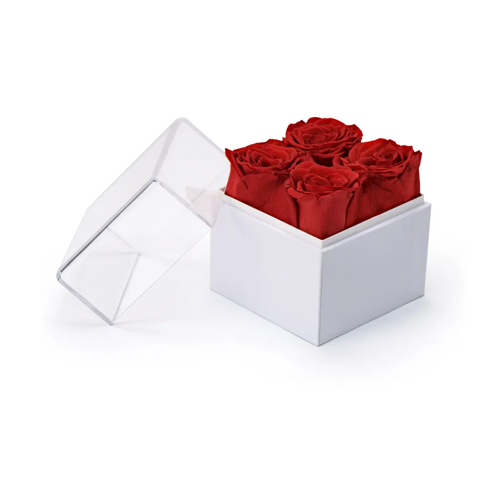 Forever-Rose-Flowers-Gift-Box-FGB-01-WHT-Open-Box.webp
