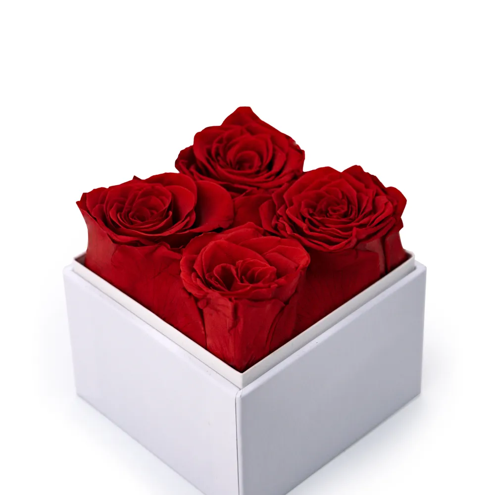 Forever-Rose-Flowers-Gift-Box-FGB-01-WHT-View.webp