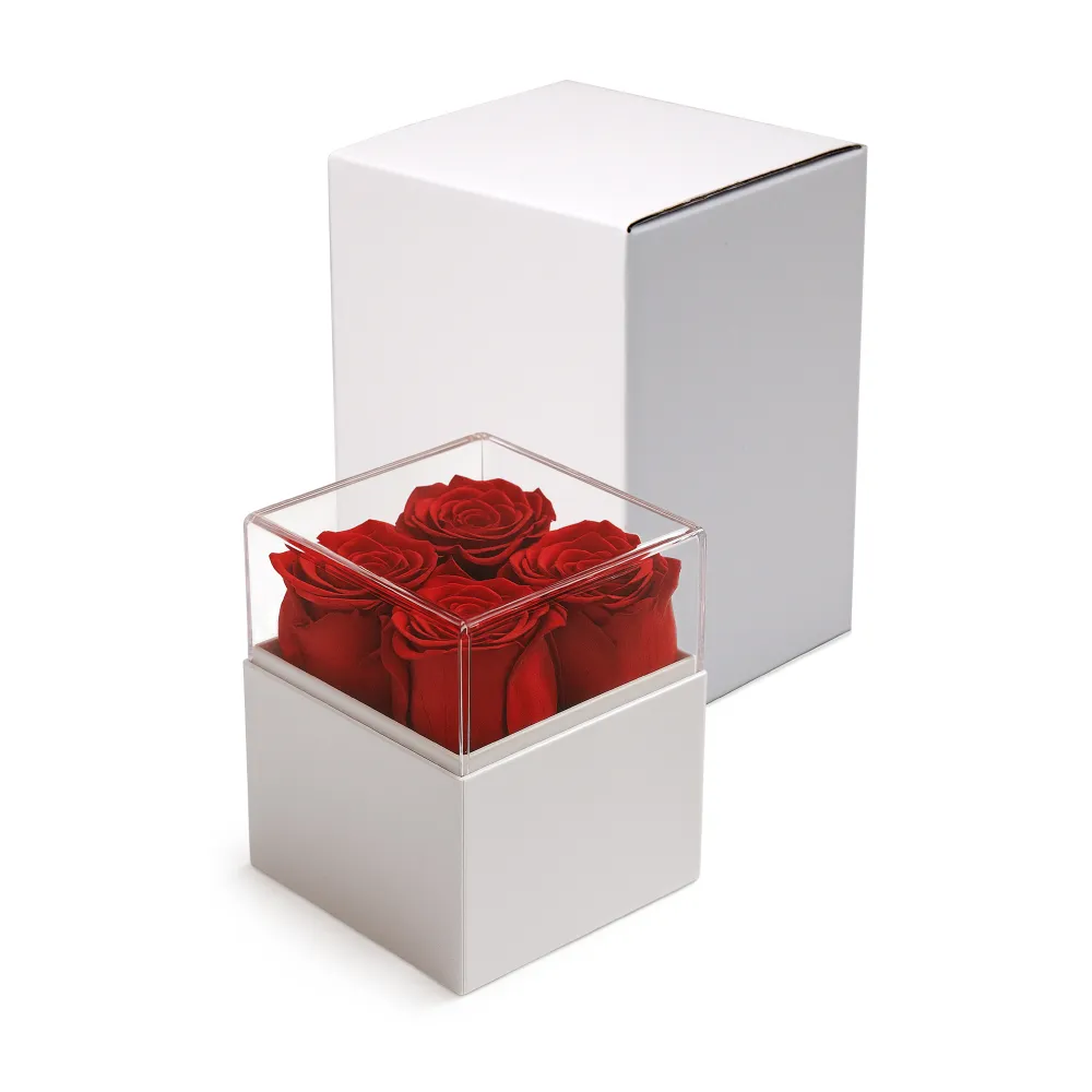 Forever-Rose-Flowers-Gift-Box-FGB-01-WHT-with-Packaging.webp