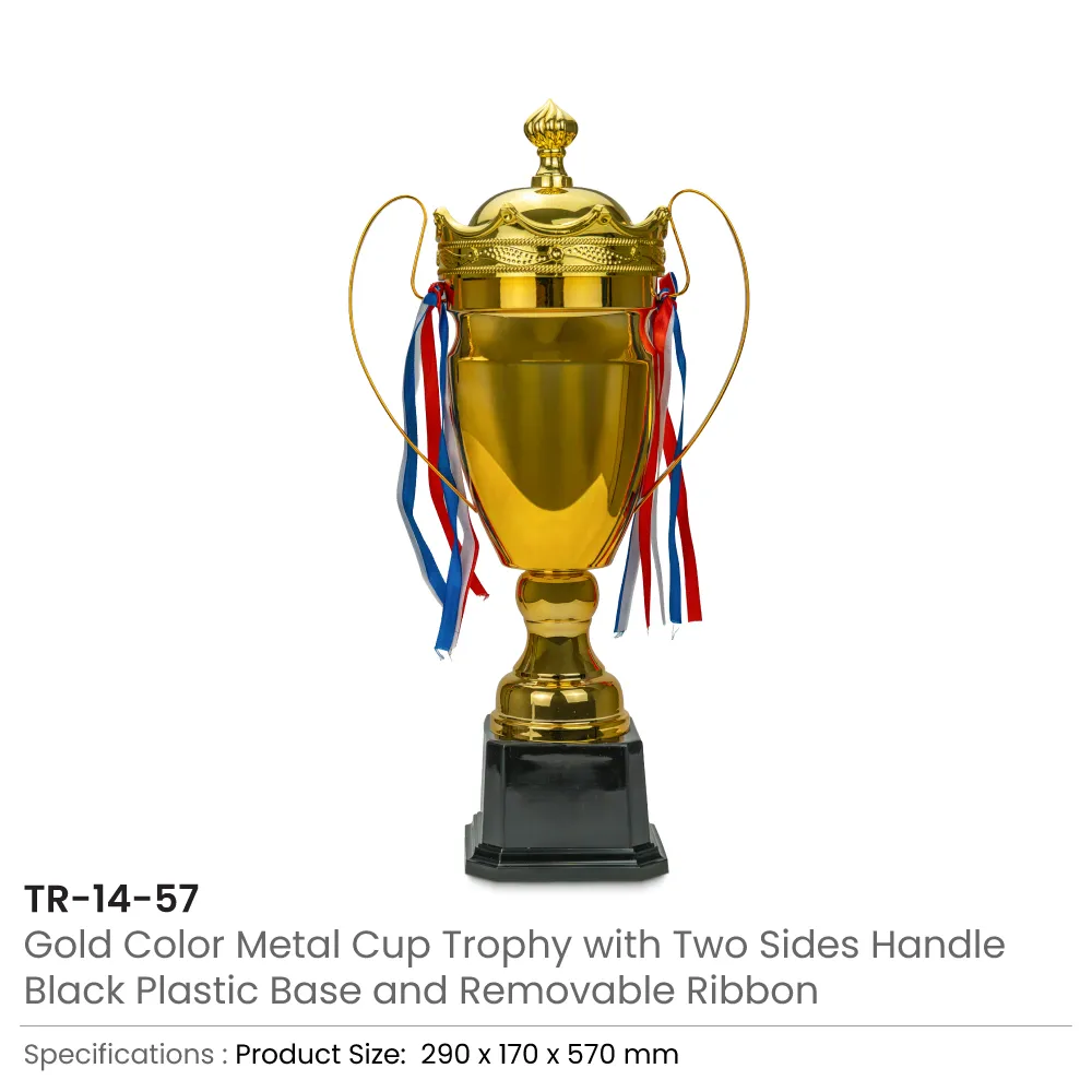 Metal-Close-Cup-Trophy-TR-14-57.webp