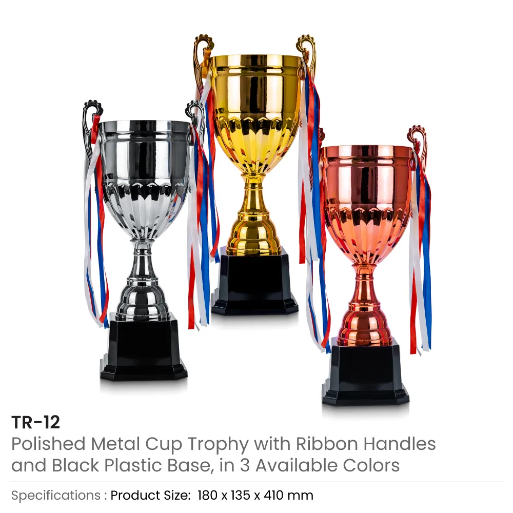 Metal-Cup-Trophies-TR-12-Details.webp