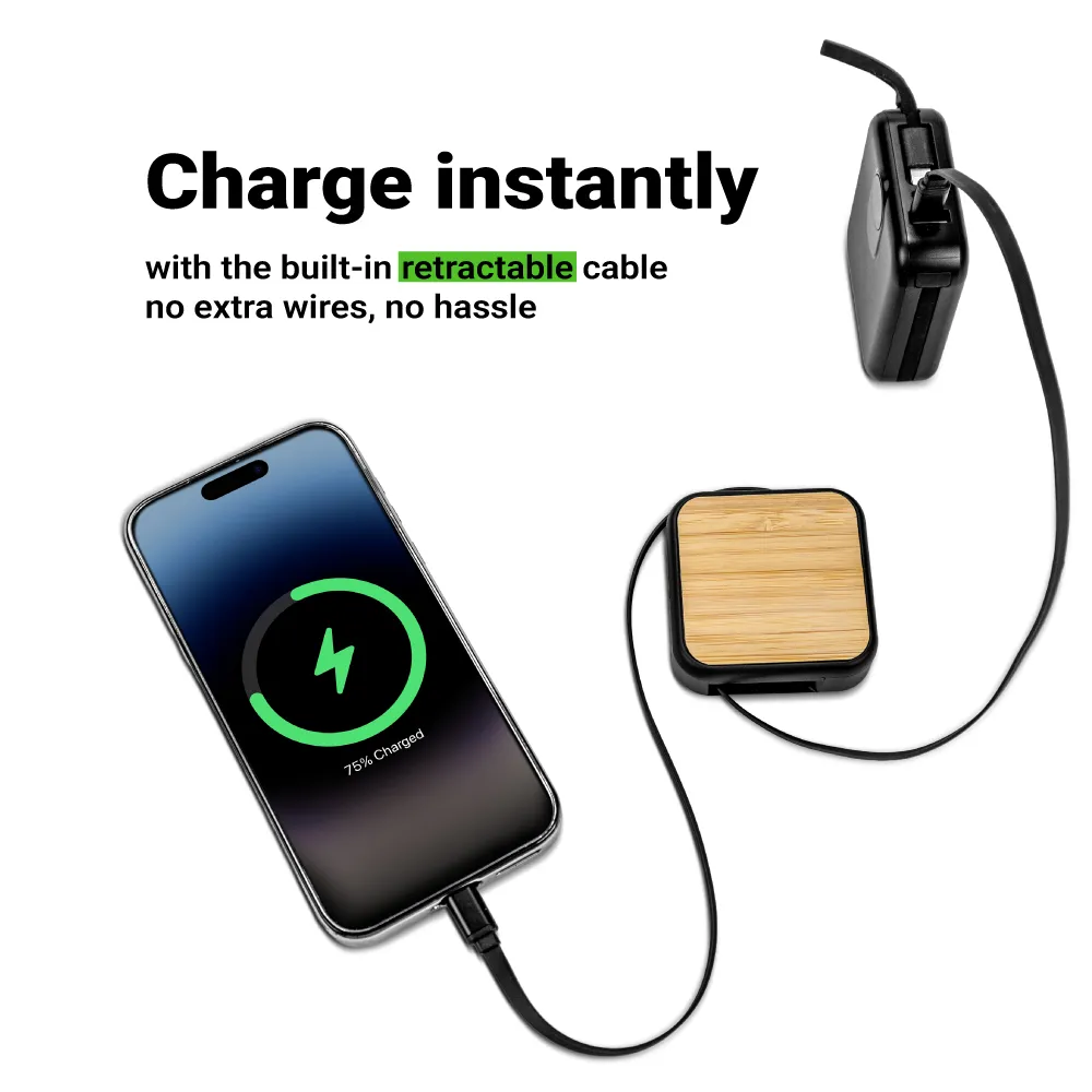 Retractable-Charging-Cable-Set-with-Bamboo-Top-60W-Fast-Charging-OC-R10-Sample.webp