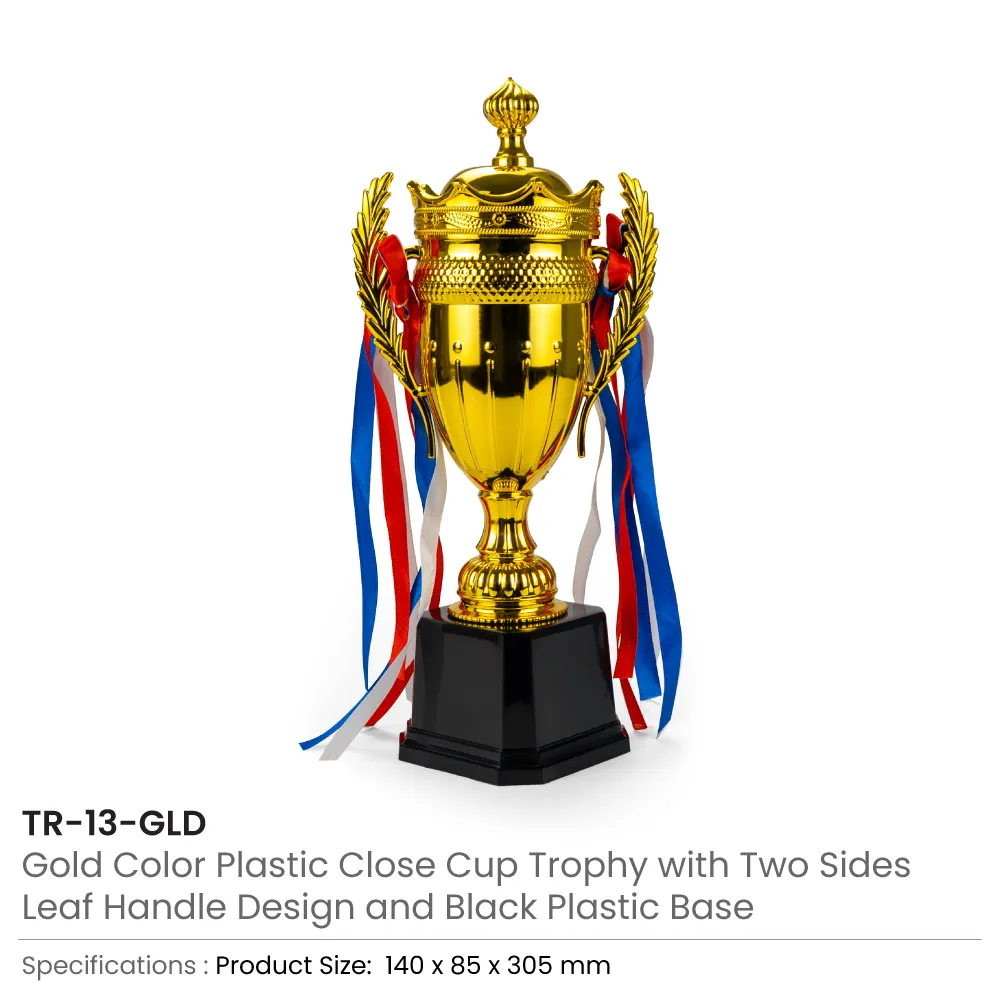 Small-Cup-Trophy-TR-13-Details.webp