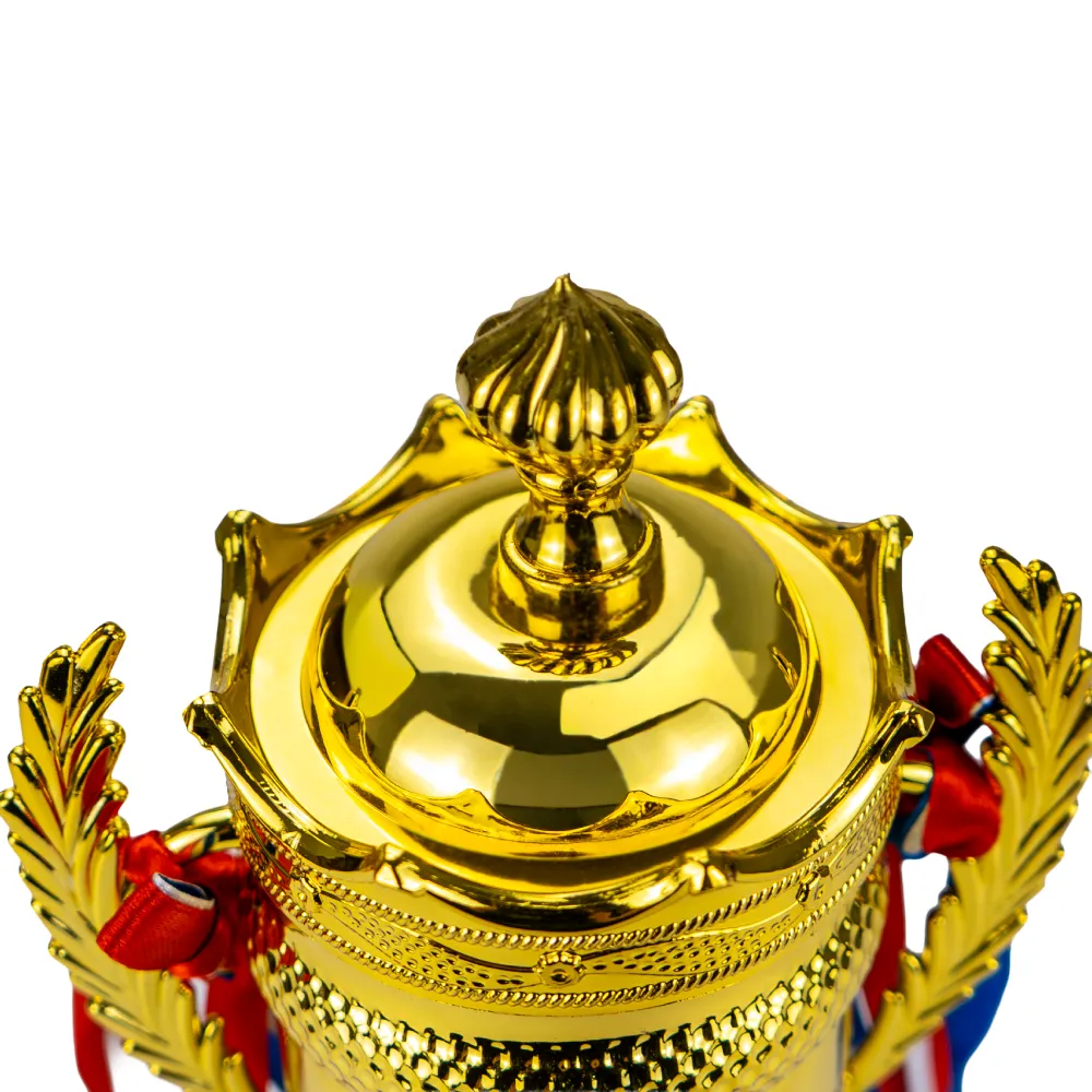 Small-Cup-Trophy-TR-13-Top-View.webp